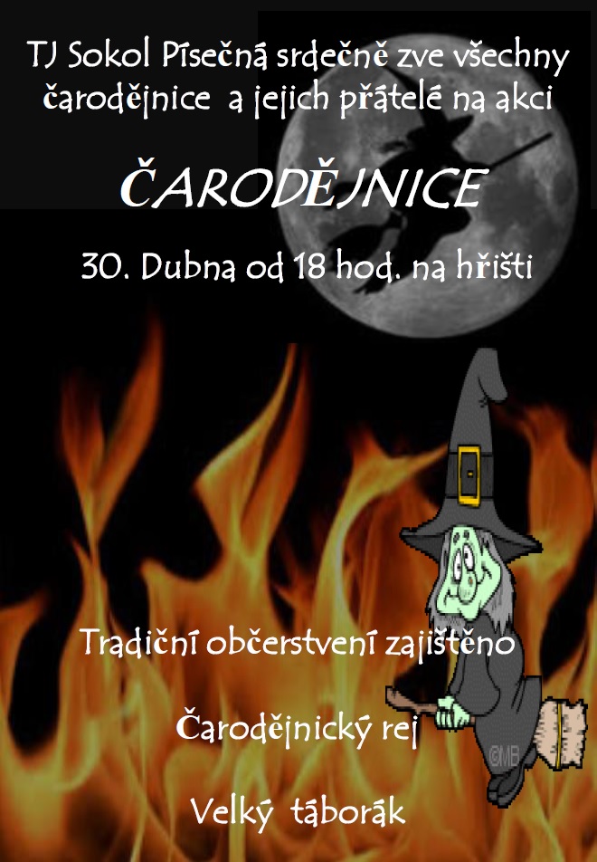 carodejnice2014.jpg